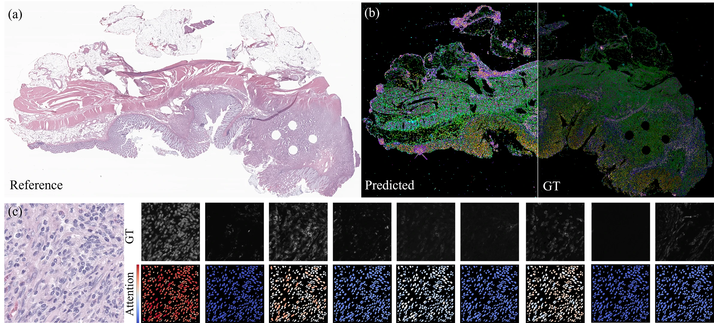 Cover Image of the Post